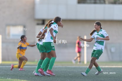 gol | Santos Laguna vs Tigres UANL S19
