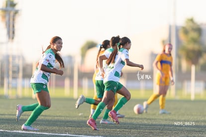 gol | Santos Laguna vs Tigres UANL S19