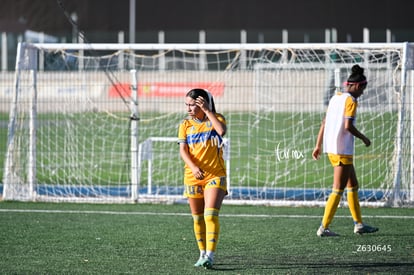 Santos Laguna vs Tigres UANL S19 | Santos Laguna vs Tigres UANL S19