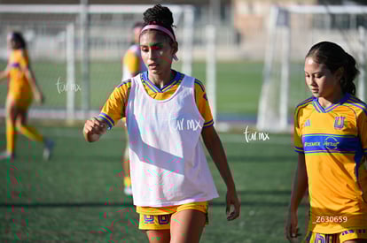 Santos Laguna vs Tigres UANL S19 | Santos Laguna vs Tigres UANL S19
