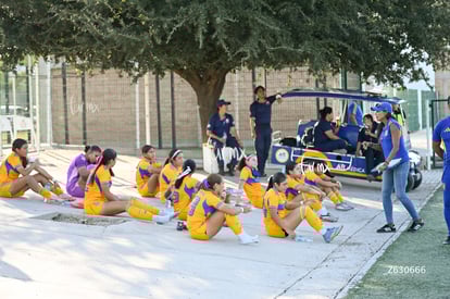 Tigres femenil | Santos Laguna vs Tigres UANL S19