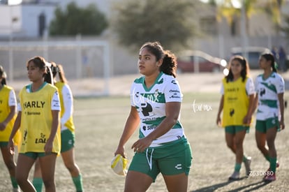 Santos Laguna vs Tigres UANL S19 | Santos Laguna vs Tigres UANL S19