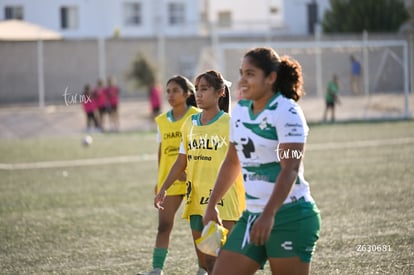 Santos Laguna vs Tigres UANL S19 | Santos Laguna vs Tigres UANL S19