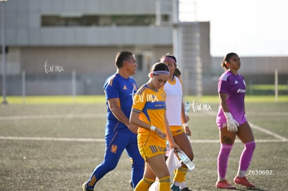 Santos Laguna vs Tigres UANL S19 | Santos Laguna vs Tigres UANL S19