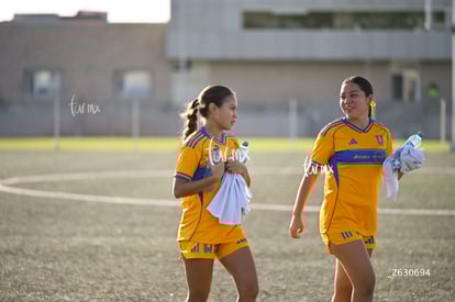 Santos Laguna vs Tigres UANL S19 | Santos Laguna vs Tigres UANL S19