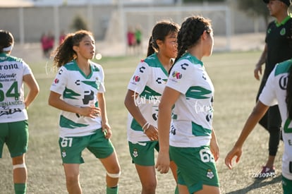 Santos Laguna vs Tigres UANL S19 | Santos Laguna vs Tigres UANL S19