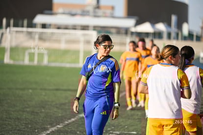 Santos Laguna vs Tigres UANL S19 | Santos Laguna vs Tigres UANL S19