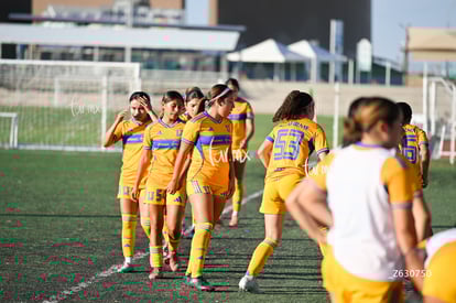 Santos Laguna vs Tigres UANL S19 | Santos Laguna vs Tigres UANL S19