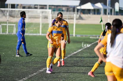 Santos Laguna vs Tigres UANL S19 | Santos Laguna vs Tigres UANL S19