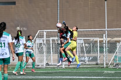 Santos vs Atlas femenil sub19 | Santos vs Atlas femenil sub19