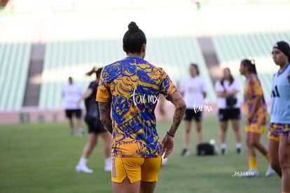 Jennifer Hermoso | Santos vs Tigres femenil
