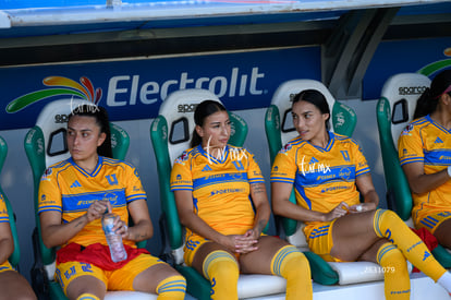 Santos vs Tigres femenil | Santos vs Tigres femenil