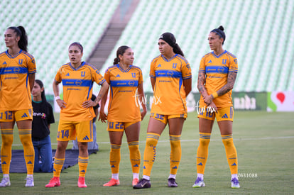 equipo | Santos vs Tigres femenil