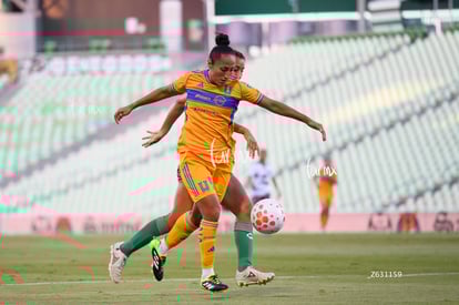Sandra Mayor | Santos vs Tigres femenil