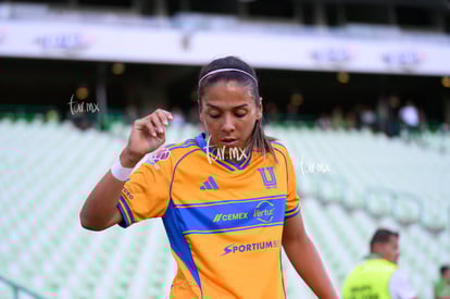 Santos vs Tigres femenil | Santos vs Tigres femenil