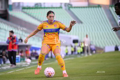 Anika Rodríguez | Santos vs Tigres femenil