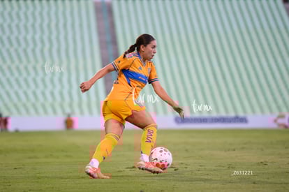 Anika Rodríguez | Santos vs Tigres femenil