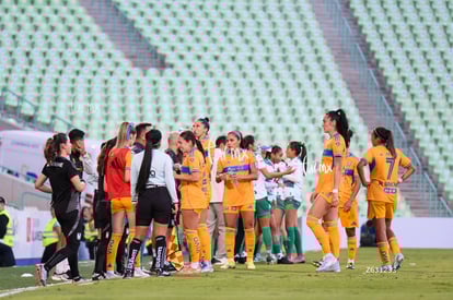 equipo | Santos vs Tigres femenil
