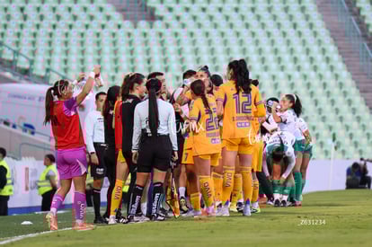 equipo | Santos vs Tigres femenil