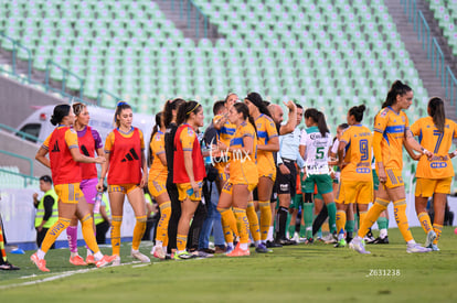 equipo | Santos vs Tigres femenil