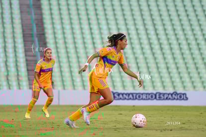 Santos vs Tigres femenil | Santos vs Tigres femenil