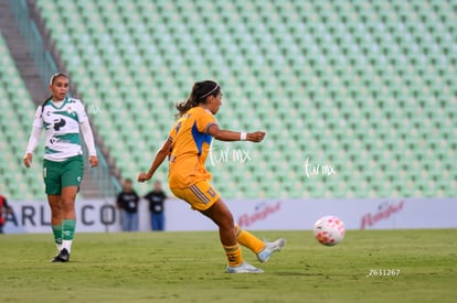Santos vs Tigres femenil | Santos vs Tigres femenil