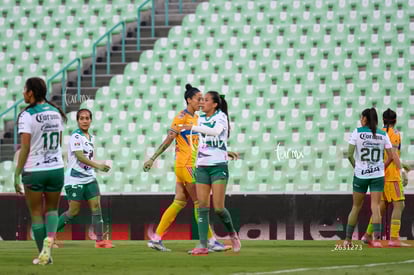 Santos vs Tigres femenil | Santos vs Tigres femenil