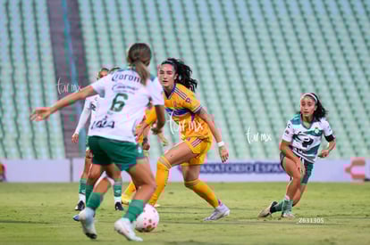 Santos vs Tigres femenil | Santos vs Tigres femenil