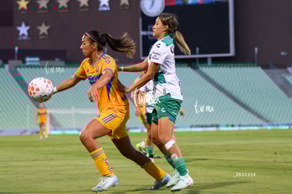 María Sánchez, Havi Ibarra | Santos vs Tigres femenil