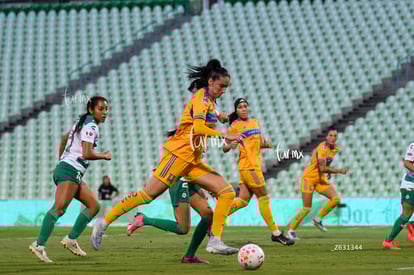 Diana Ordoñez | Santos vs Tigres femenil