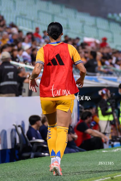 Sabrina Enciso | Santos vs Tigres femenil