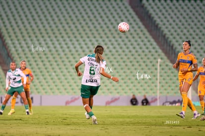 Havi Ibarra | Santos vs Tigres femenil