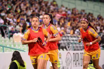 Santos vs Tigres femenil | Santos vs Tigres femenil