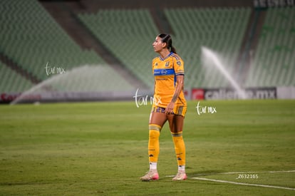 Dilary Heredia | Santos vs Tigres femenil