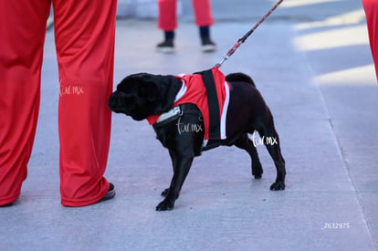 The Santa Run | The Santa Run 2024 en Torreón