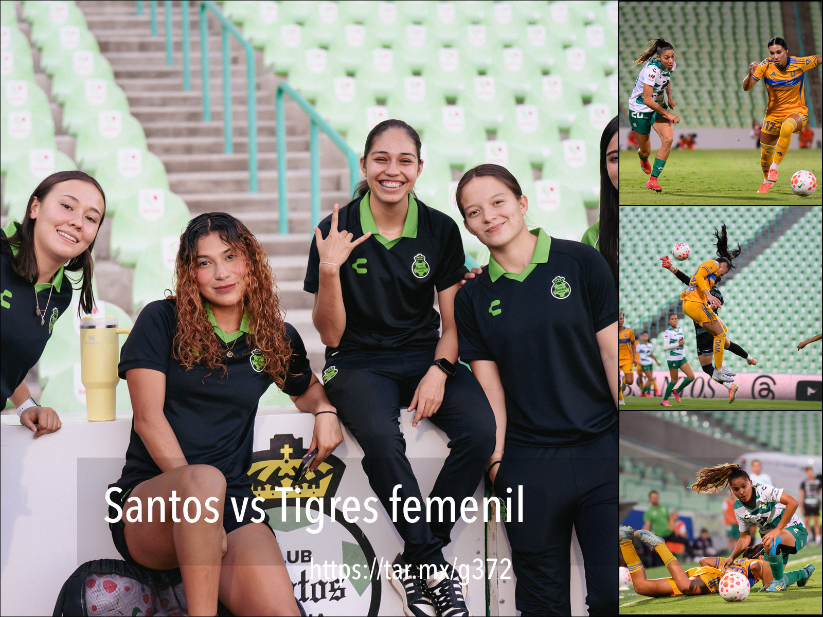 Santos vs Tigres femenil